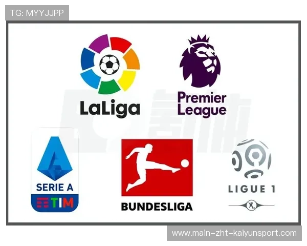 五大联赛球迷文化差异引发热议，五大联赛哪个球队球迷最多